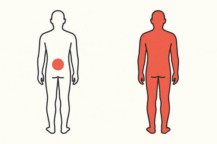 Drawing: one body with a small red circle on the lower back, one body red from neck to calves
