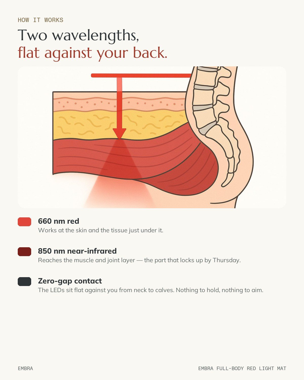 How it works: 660 and 850 nm LEDs, flat against your back